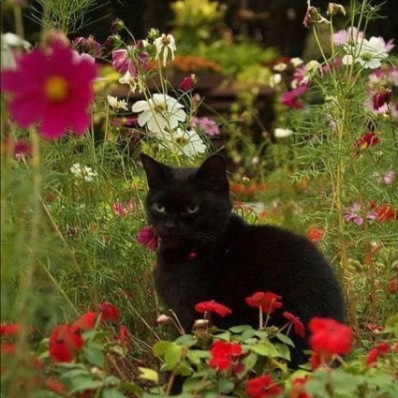 Meet your Posher, Paige - Picture 1 of 1